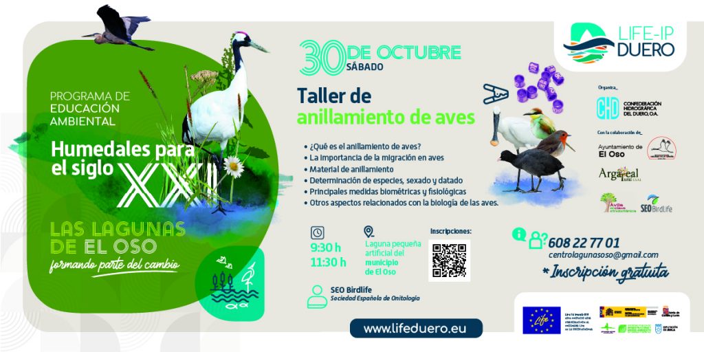 Jornada 30 de Octubre