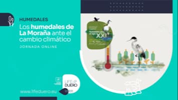 HUMEDALES MORANA