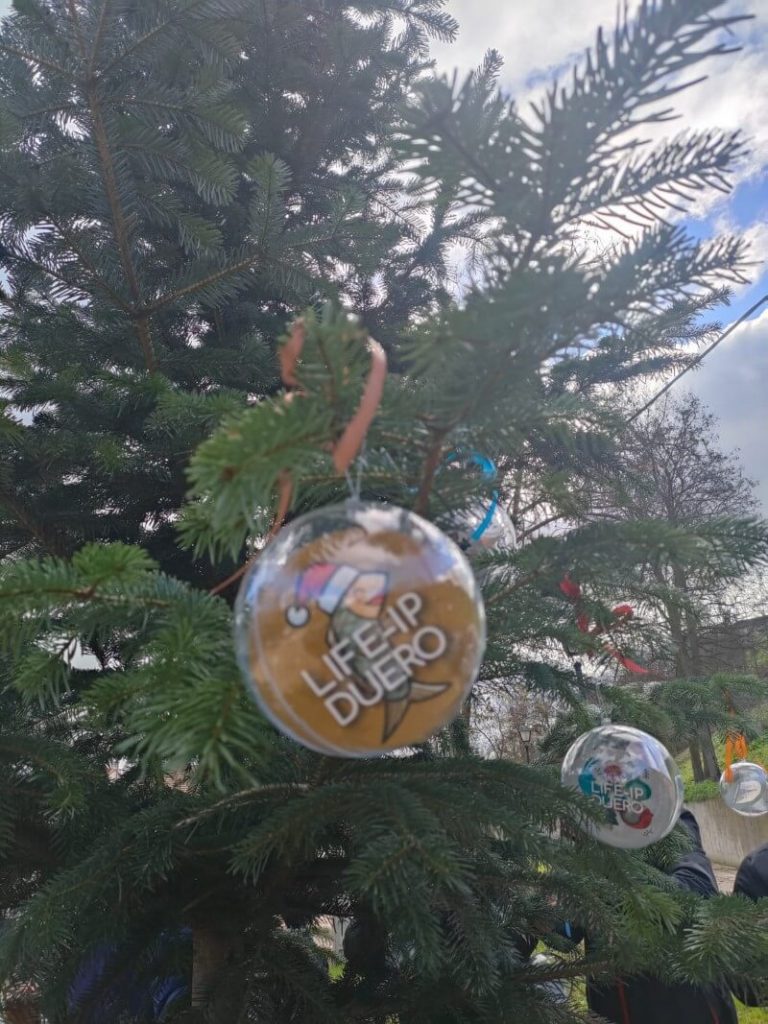 bolas de navidad