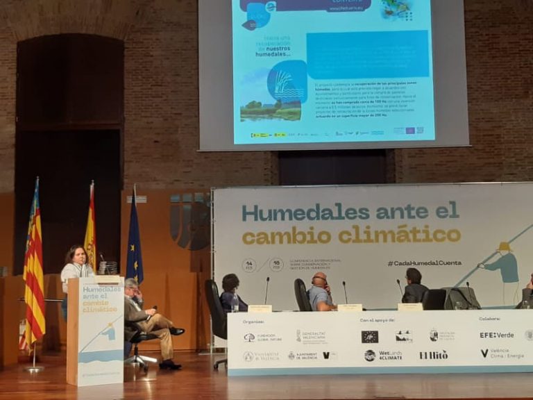 Conferencia