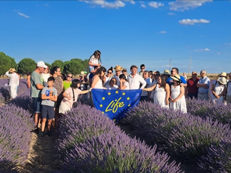 Visita campos de lavanda
