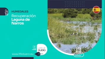 LAGUNA NARROS