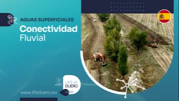 CONECTIVIDAD FLUVIAL_LIFE DUERO