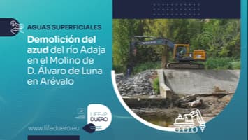 DEMOLICION AZUD MOLINO_LIFE DUERO