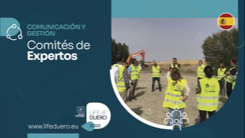 COMITE EXPERTOS
