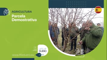 Parcela demostrativa