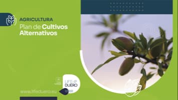 PLAN DE CULTIVOS