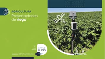PRESCRIPCIONES DE RIEGO