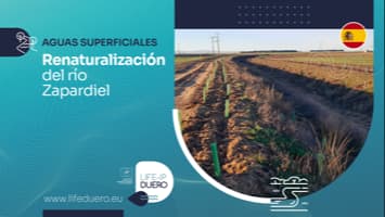 RENATURALIZACION RIO ZAPARDIEL_LIFE DUERO