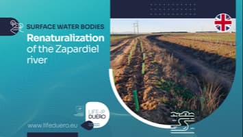 RENATURALIZACION RIO ZAPARDIEL_LIFE DUERO