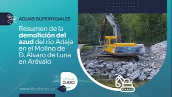RESUMEN DEMOLICION AZUD MOLINO_LIFE DUERO