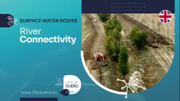 CONECTIVIDAD FLUVIAL_LIFE DUERO