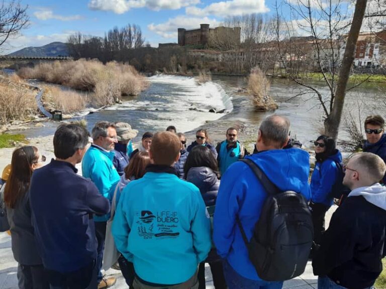 Networking Ebro Resilence P1