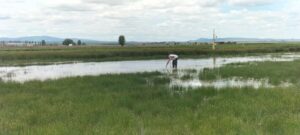 Analisis de lagunas 1