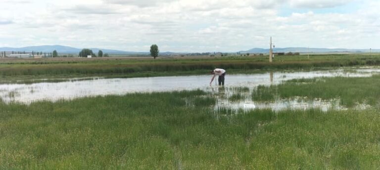 Analisis de lagunas 1