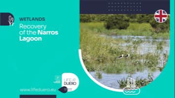 LAGUNA NARROS