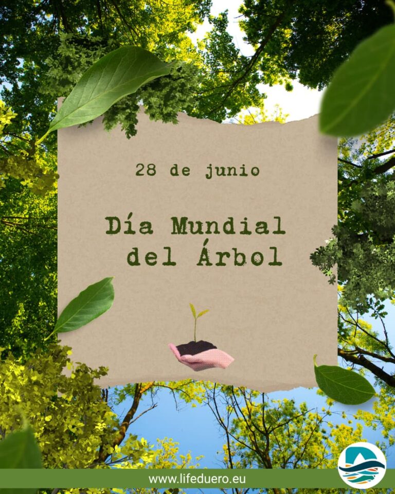 Dia mundial del arbol