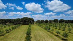 Agricultura de precision