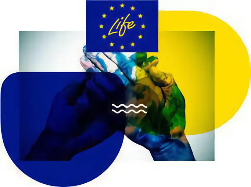 Bandera