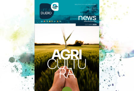 Boletin octubre 2025