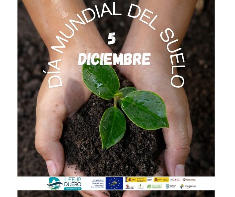 Día mundial del suelo
