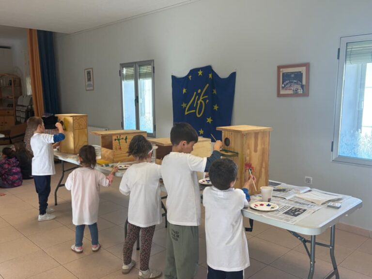 Taller descubrir la naturaleza