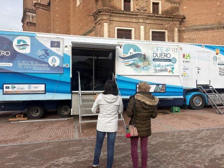 camion
